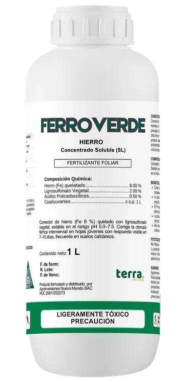 Botella de FERROVERDE