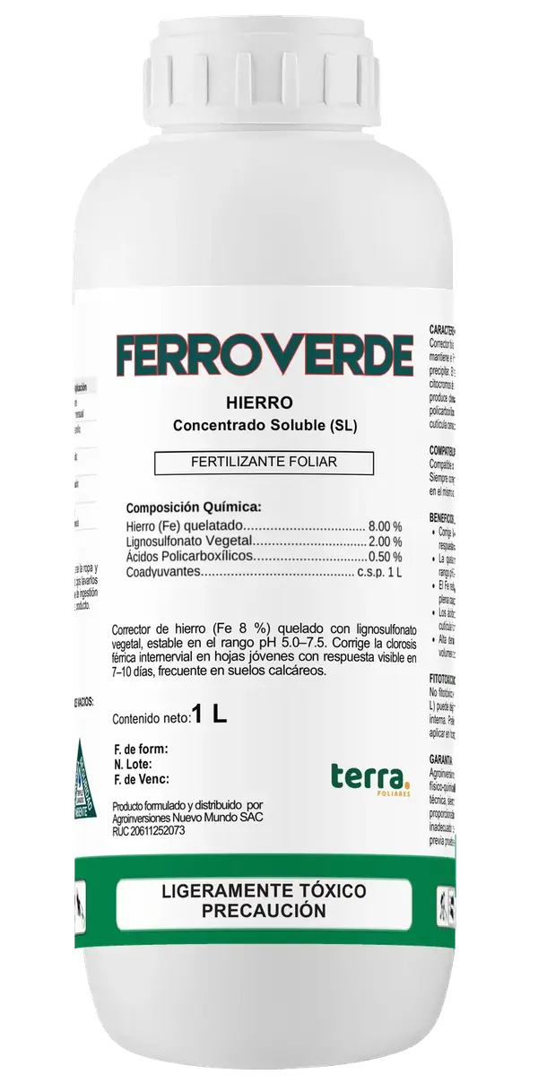 Botella de FERROVERDE