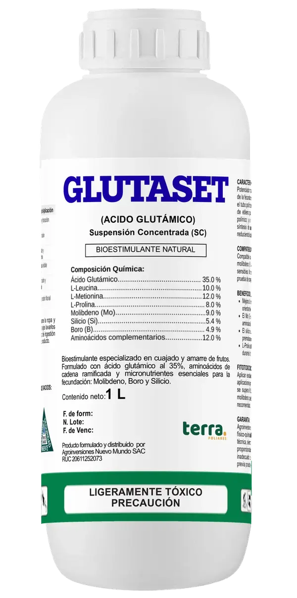 Botella de GLUTASET